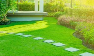 The 10 Best Landscaping Companies Near Me (with Free Quotes)